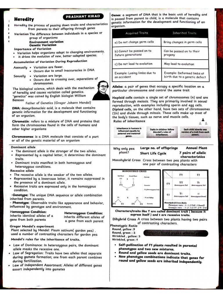 Class 10th Heredity Short Notes | PDF