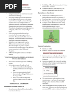 X-Ray Image Formation Explained | PDF | X Ray | Radiography