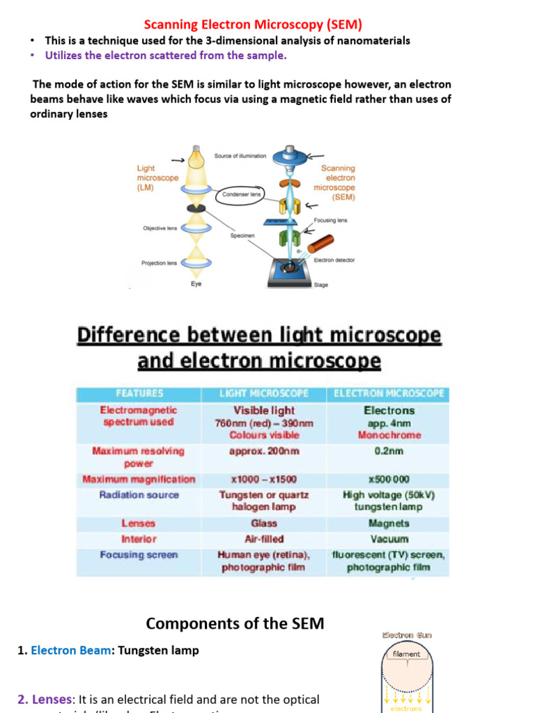 Scanning Electron Microscopy Overview | PDF | Scanning Electron ...
