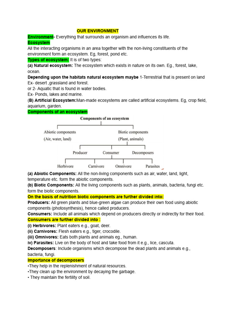 Std-10 Ch-13Our Environment (Key Points) | PDF | Ecosystem ...