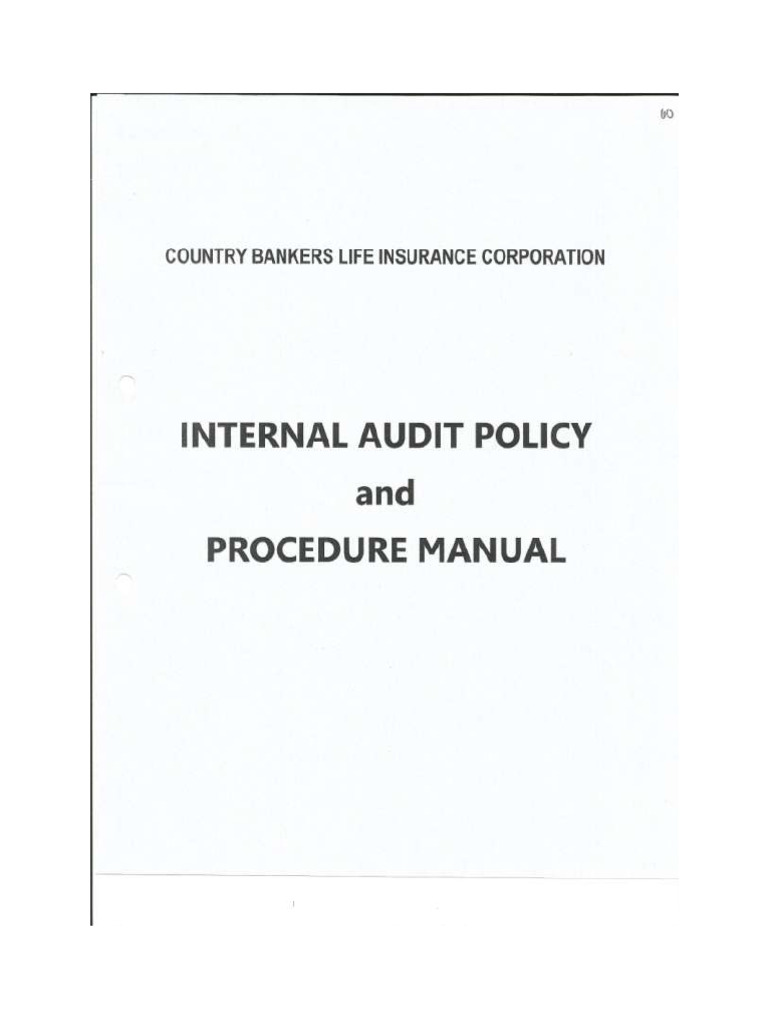 Internal Audit Manual | PDF