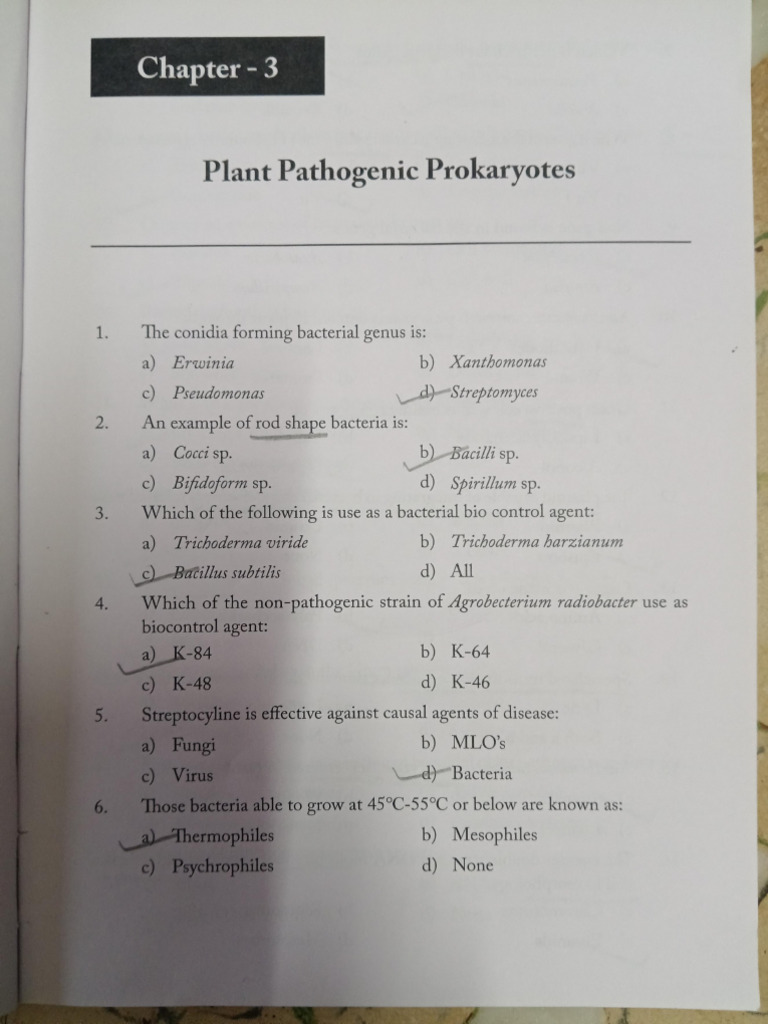 Chapter 3 | PDF
