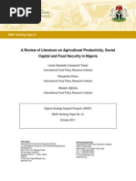 Download A Review of Literature on Agricultural Productivity Social Capital and Food Security in Nigeria by Kepler Daron SN90201421 doc pdf