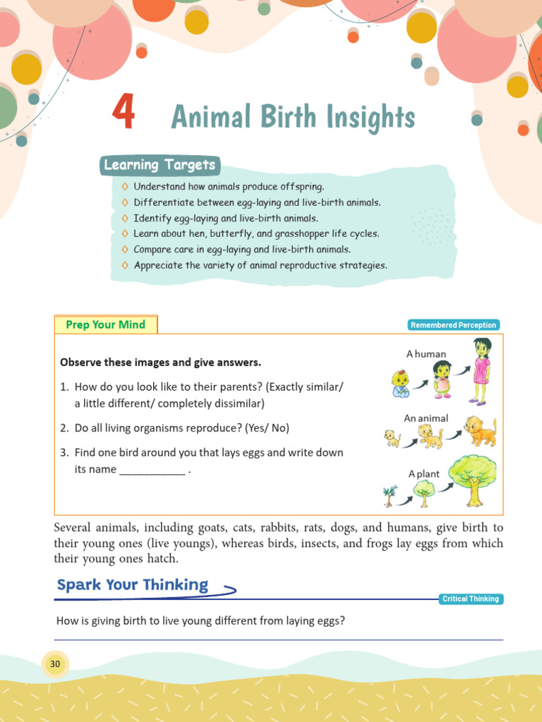 Animal Reproduction: Eggs vs. Live Birth | PDF | Butterfly | Pupa