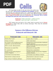 Cell Organelles Worksheet KEY | Organelle