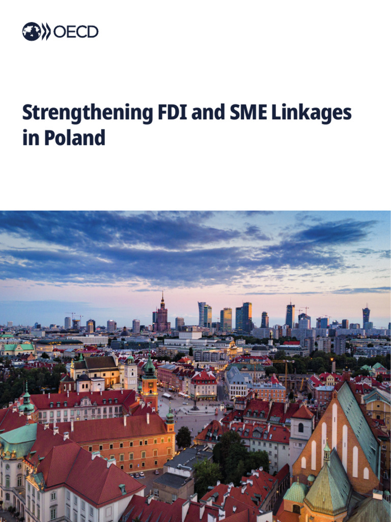 Fsi and Fdi Smes Strength | PDF | Foreign Direct Investment | Economies