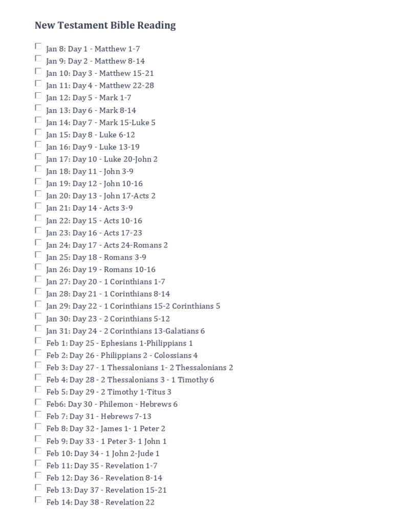 Daily New Testament Reading Plan | PDF