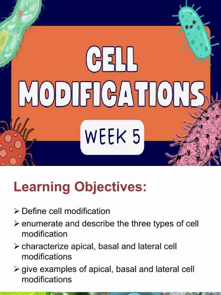 Week 5 - Cell Modifications | PDF
