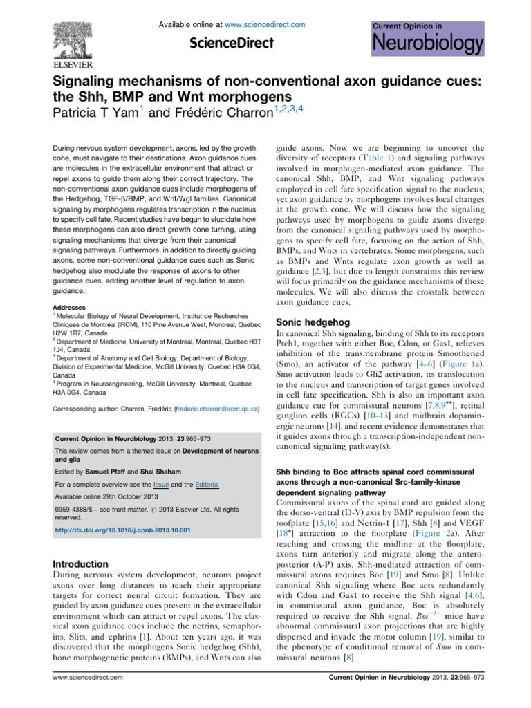 Signaling Mechanisms of Non Conventional Axon Guidance Cues | PDF ...