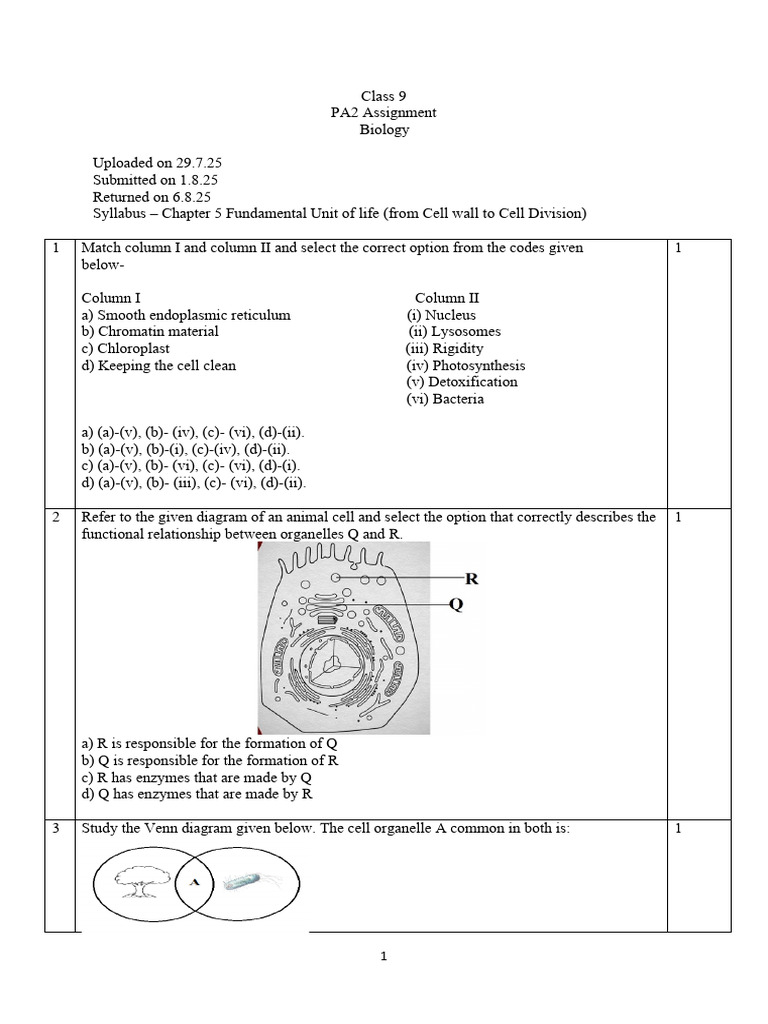Class 9 Biology: Cell Structure & Functions | PDF | Cell (Biology ...