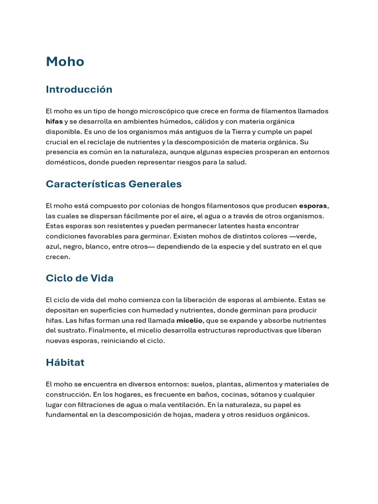 El Moho | PDF | Molde | Hongo
