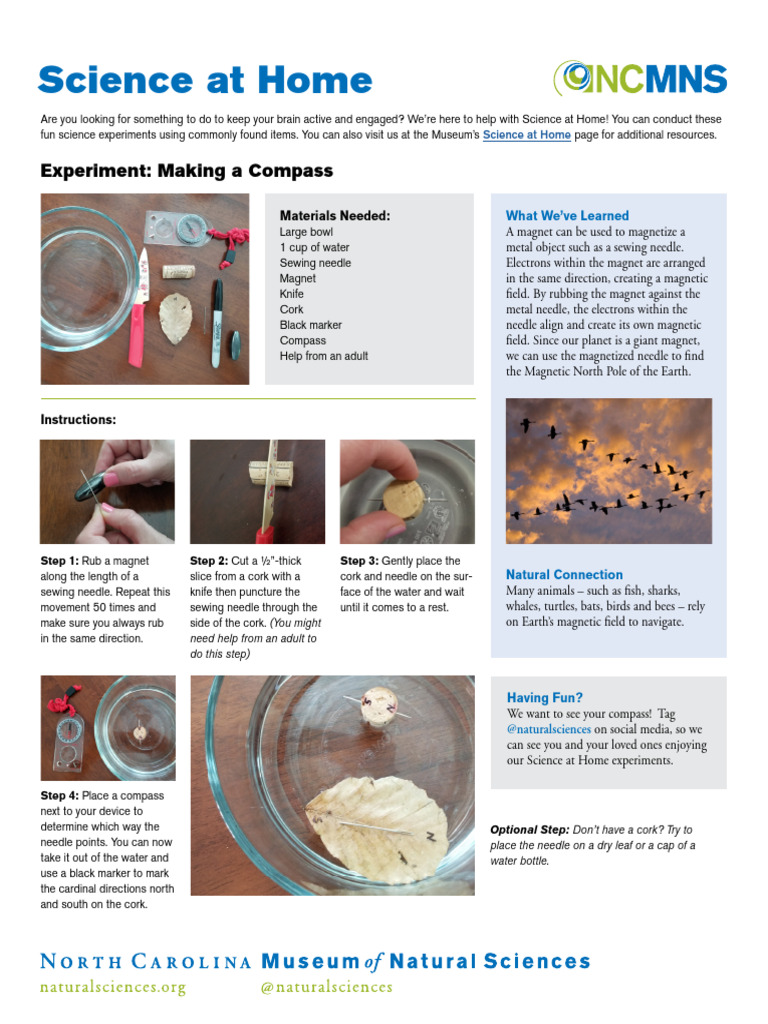 Making a Compass at Home | PDF | Compass | Electromagnetism