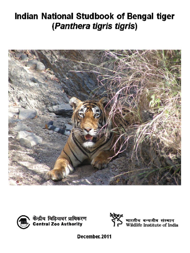 Indian National Studbook: Bengal Tiger | PDF | Tiger