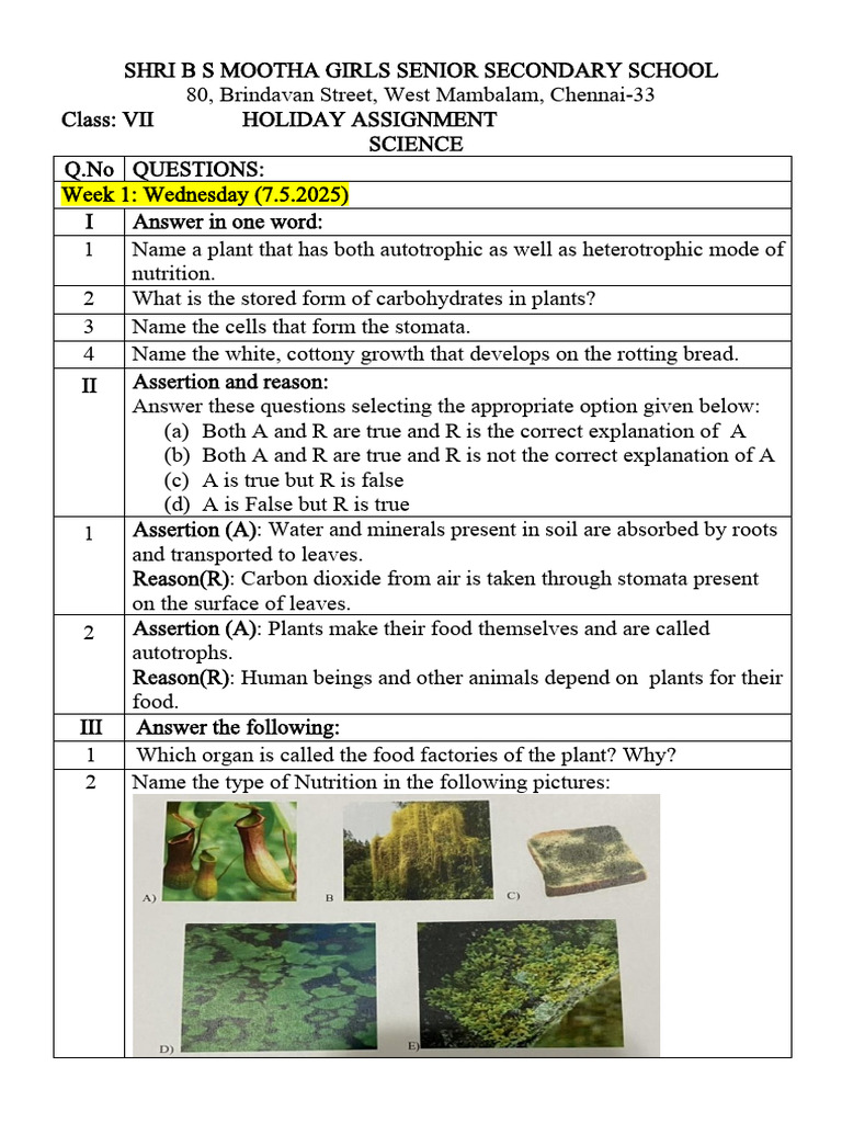 Class 7 Science Holiday Assignment | PDF | Digestion | Foods