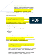 Neodarwinismo Ou Teoria Sintética Da Evolução