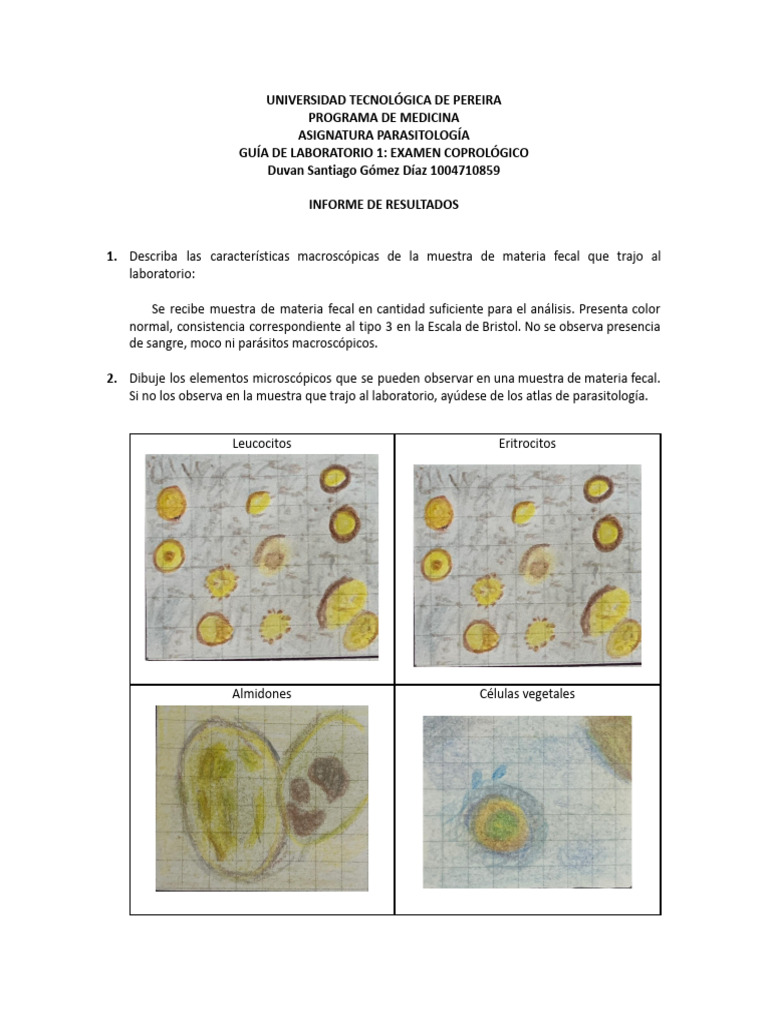 Guía de Laboratorio Coprológico | PDF | Heces