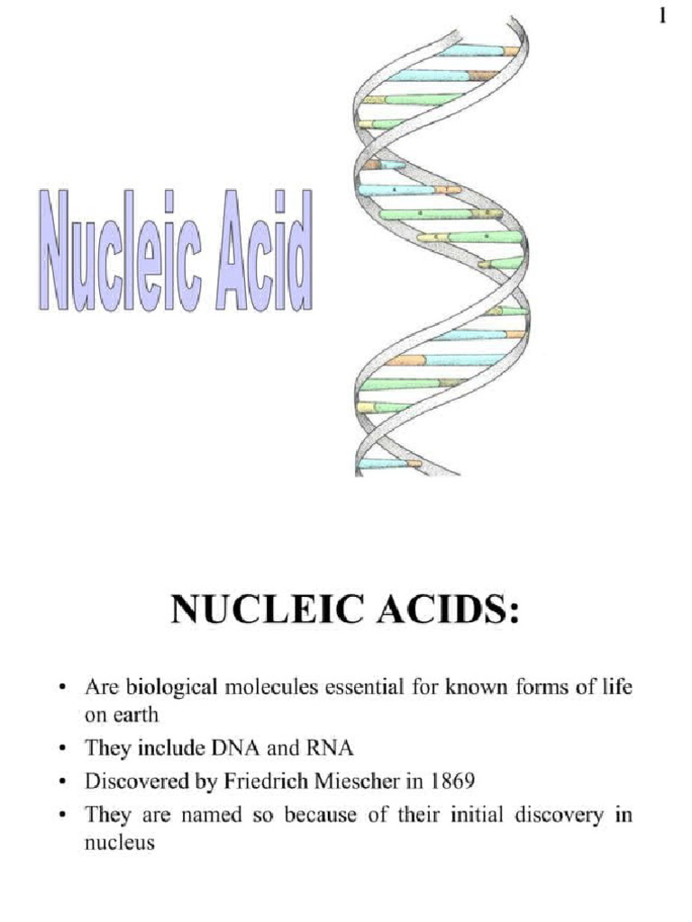 Dna, Rna | PDF