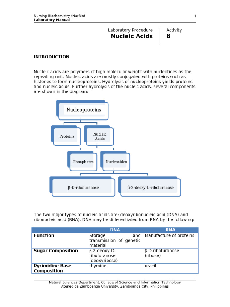 BL NurBio Activity 8 Nucleic Acids Revised 01.2024 Edited | PDF ...
