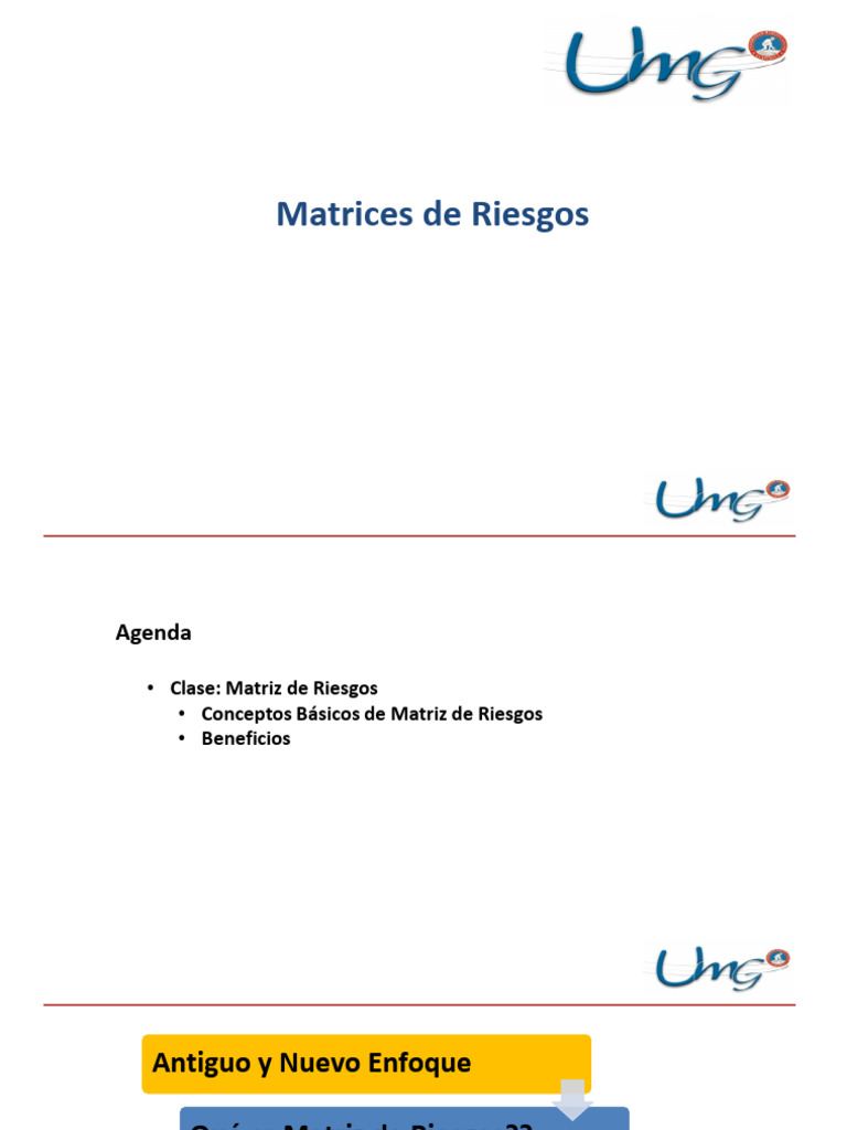 Guía Completa sobre Matrices de Riesgos | PDF | Riesgo | Plan de negocios