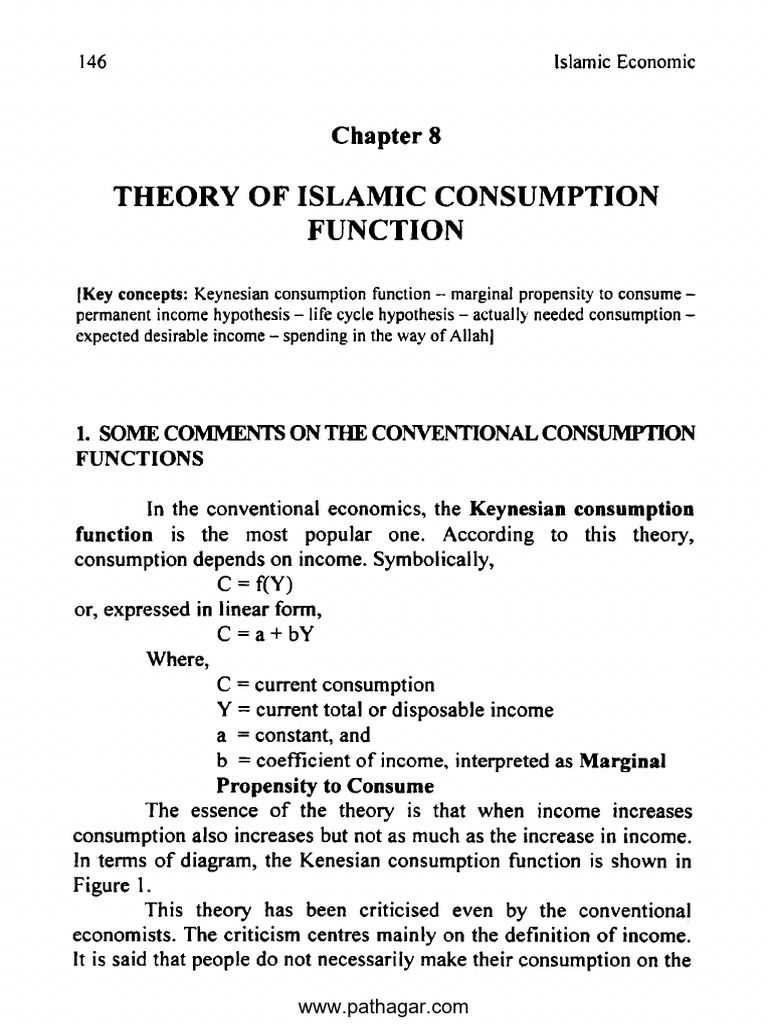 Islamic Economics CH 08 | PDF