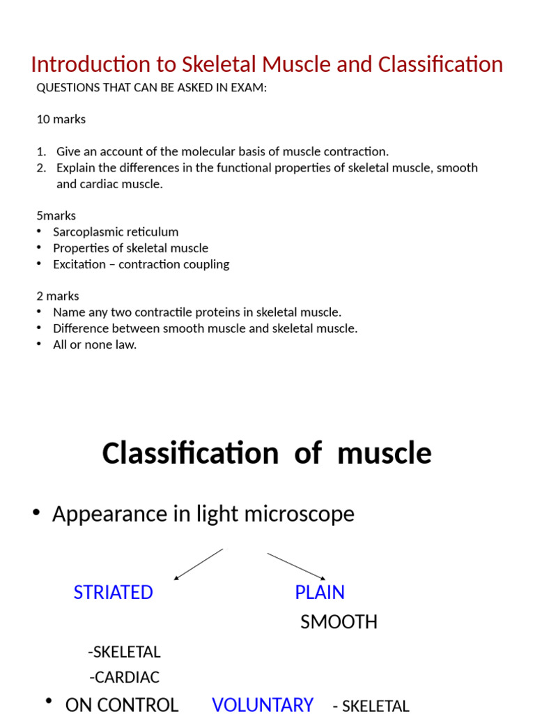 Skeletal Muscle: Structure and Function | PDF | Muscle Contraction ...