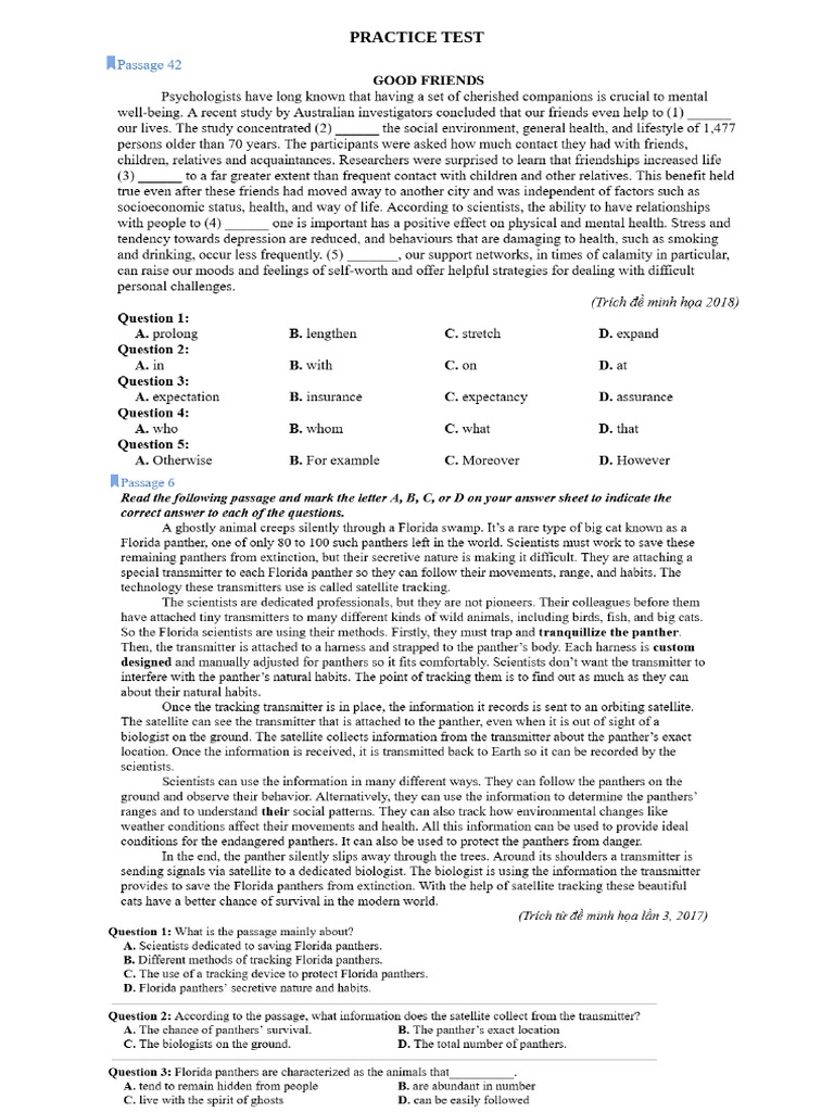 Practice Test | PDF