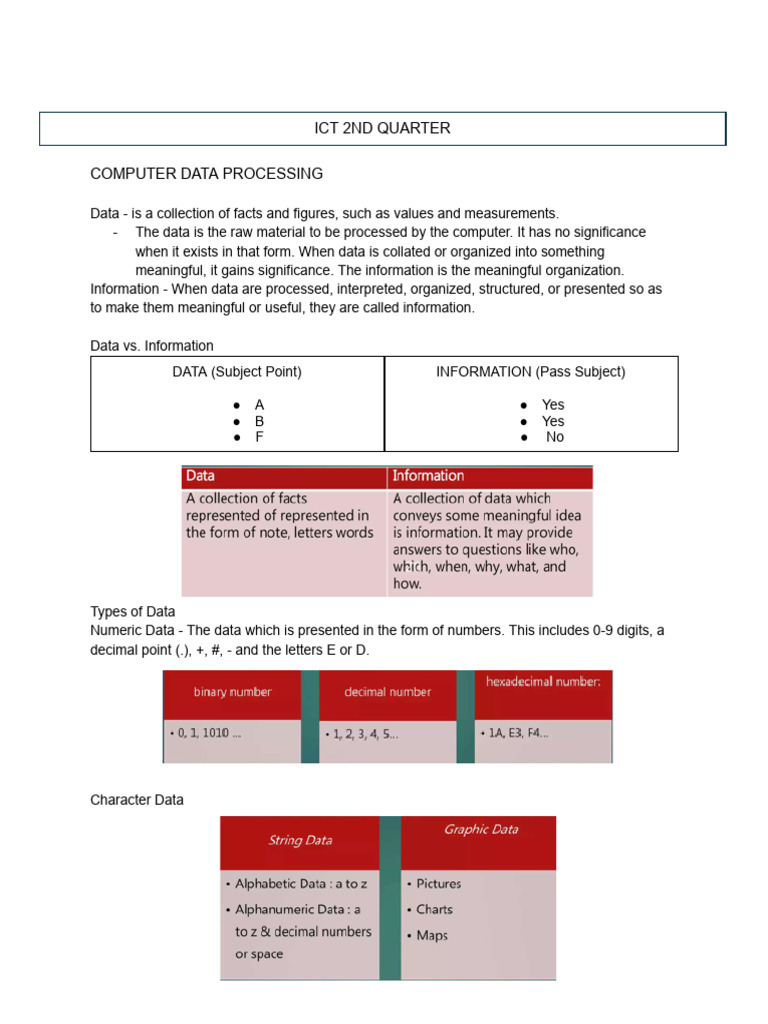 Understanding Data Processing Basics | PDF | World Wide Web | Internet ...