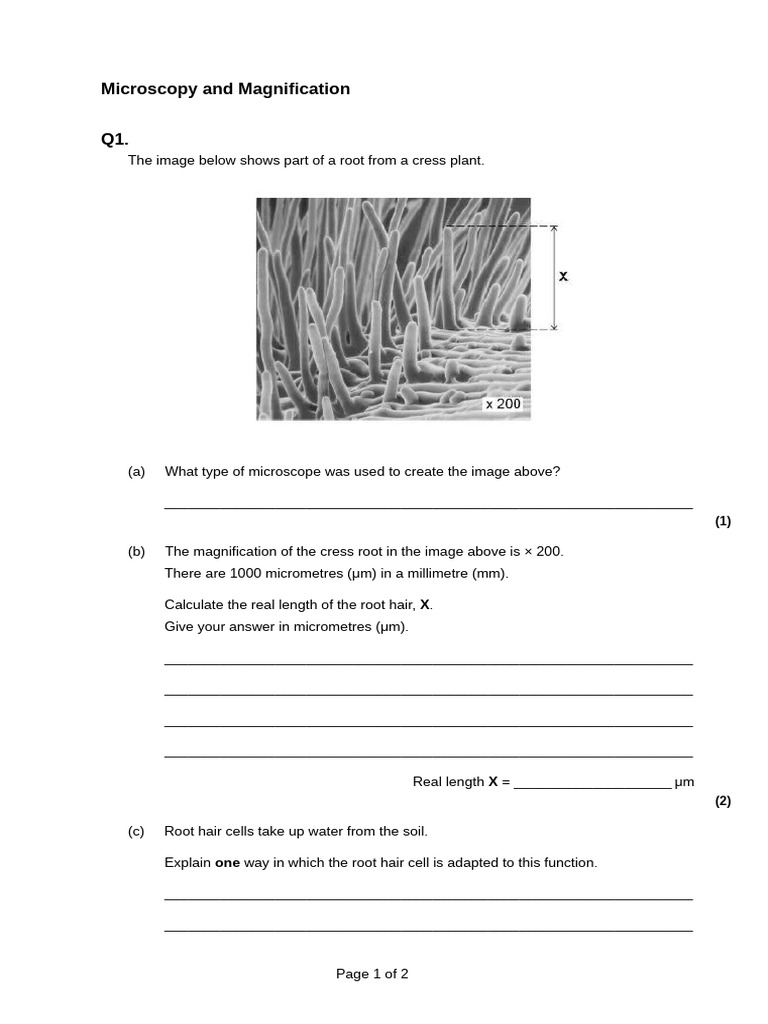 Microscopy and Magnification | PDF | Root | Microscope