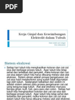 Download Kerja Ginjal Dan Keseimbangan Elektrolit Dalam Tubuh by Dini Rahmawati SN90234003 doc pdf
