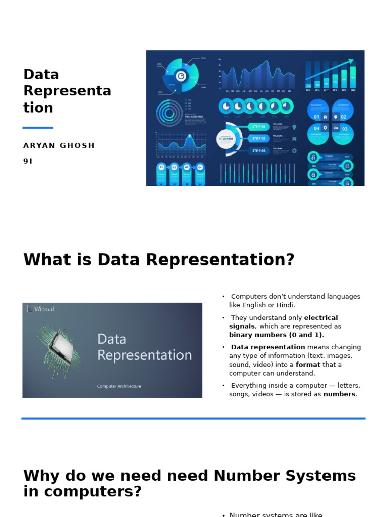 Comp Summer Project | PDF | Numbers | Computing