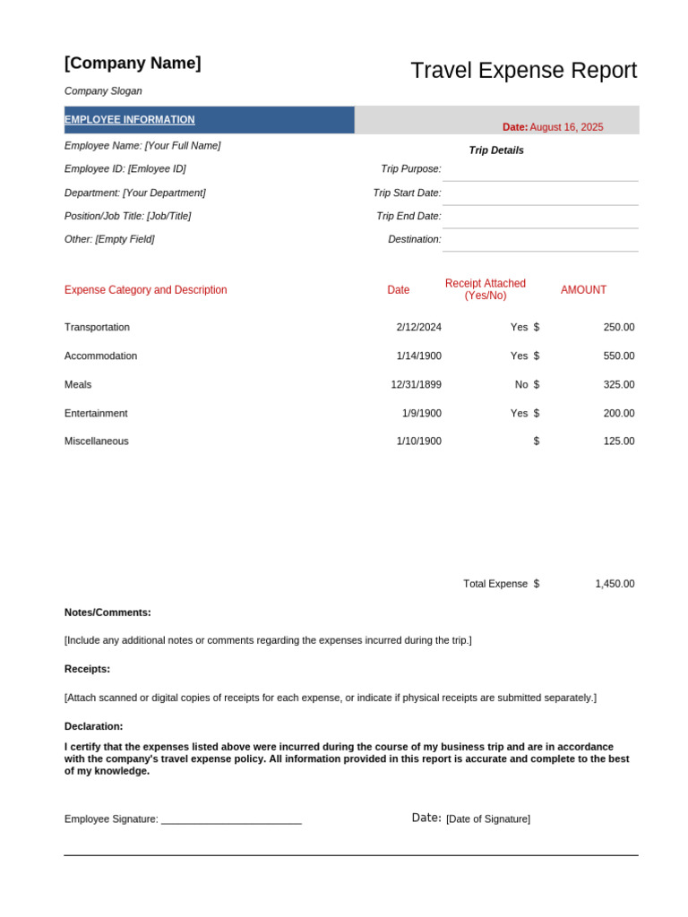 Travel Expense Report Template | PDF