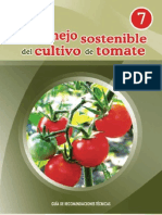 Manejo Sostenible Del Cultivo Del Tomate