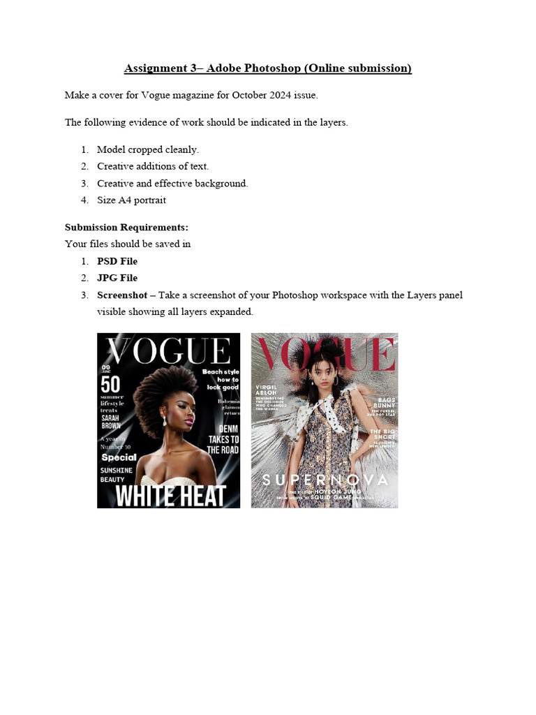 Assignment 3 - Adobe Photoshop (Online Submission) | PDF