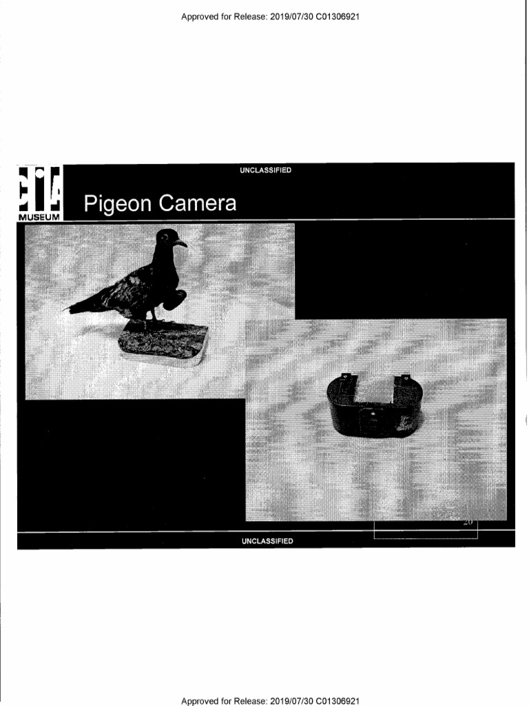Pigeon Camera | PDF