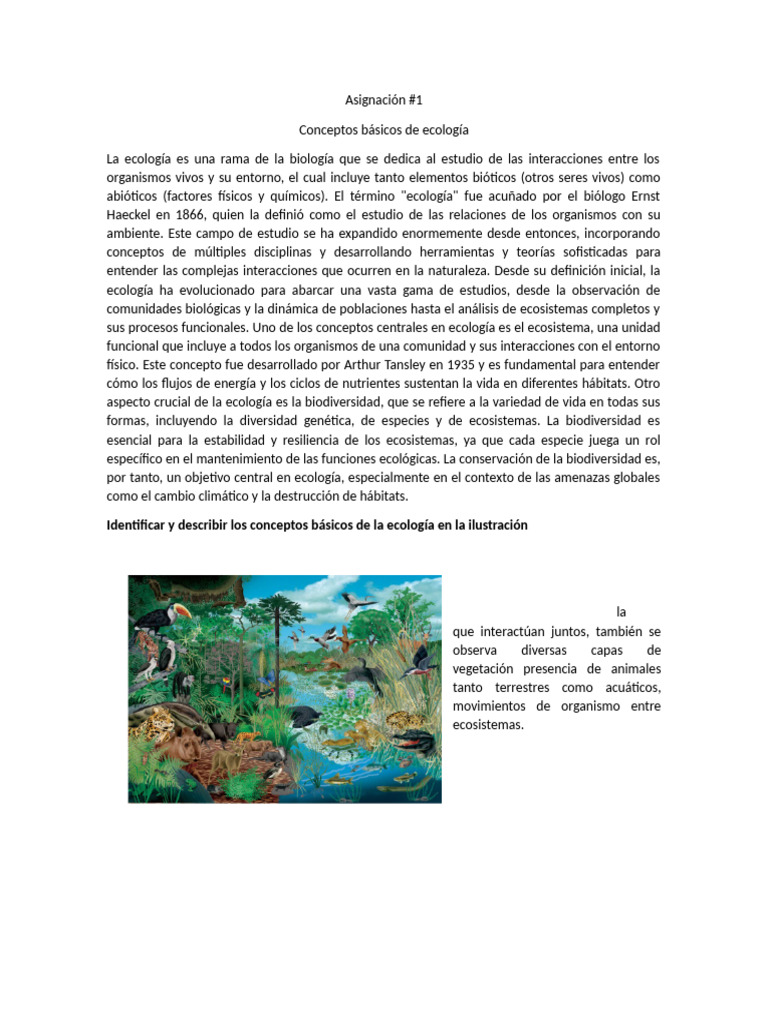 Conceptos Clave de Ecología y Biodiversidad | PDF | Ecología | Ecosistema