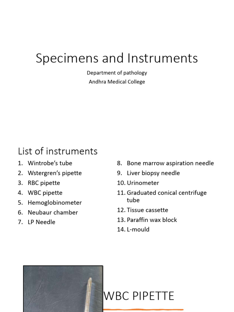 Instruments 240415083335 4f751630 | PDF | Liver | Bone Marrow
