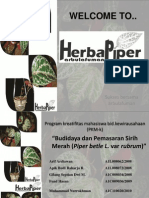 Presentasi PKM Herba Piper1