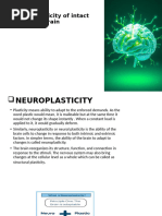 Principles of Neuroplasticity Explained | PDF | Neuroplasticity ...