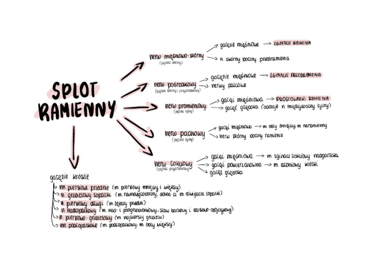 Splot Ramienny | PDF