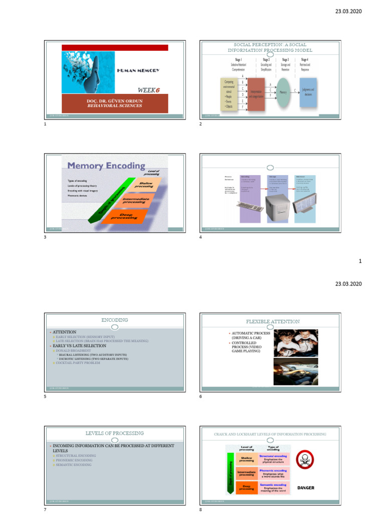 Understanding Human Memory Processes | PDF | Recall (Memory) | Memory