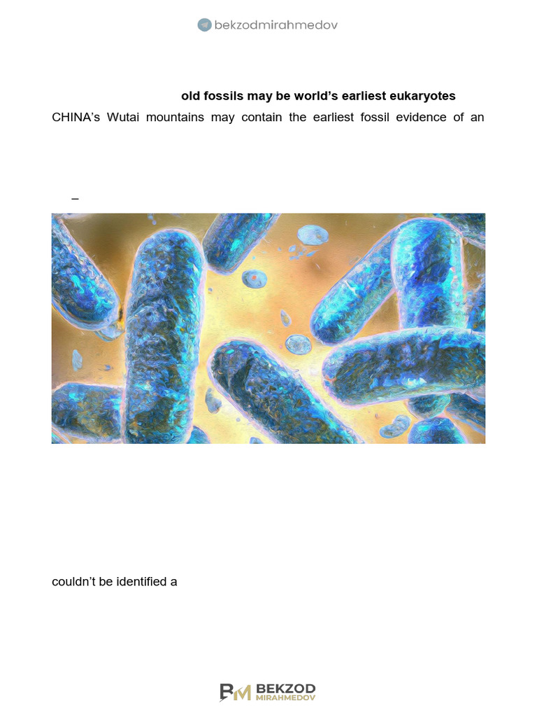 The Oldest Complex Cells | PDF | Eukaryotes | Fossil