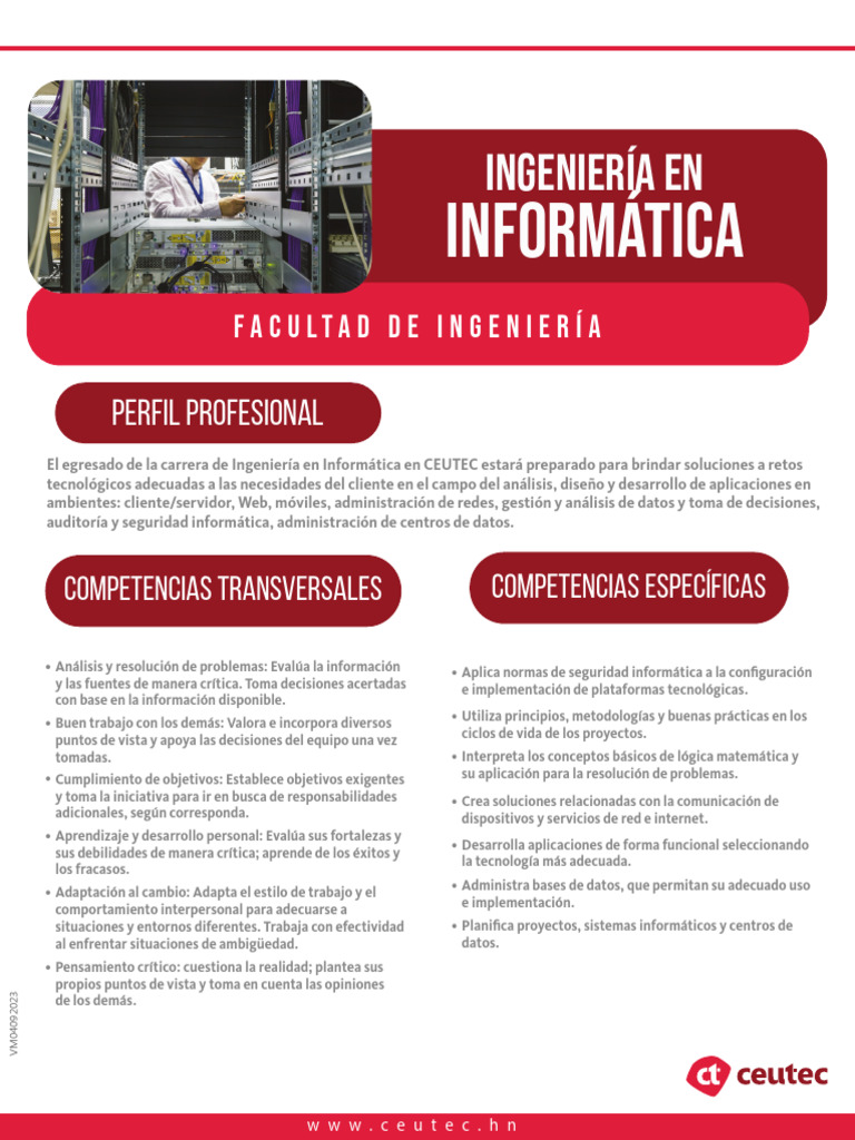 Perfil Profesional en Ingeniería Informática | PDF | Informática | La ...