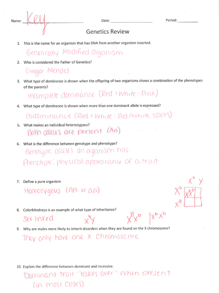 Genetic Review Part 1 | PDF