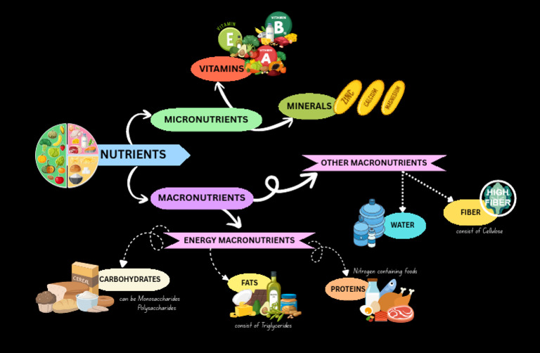 Concept Map of Nutrients | PDF