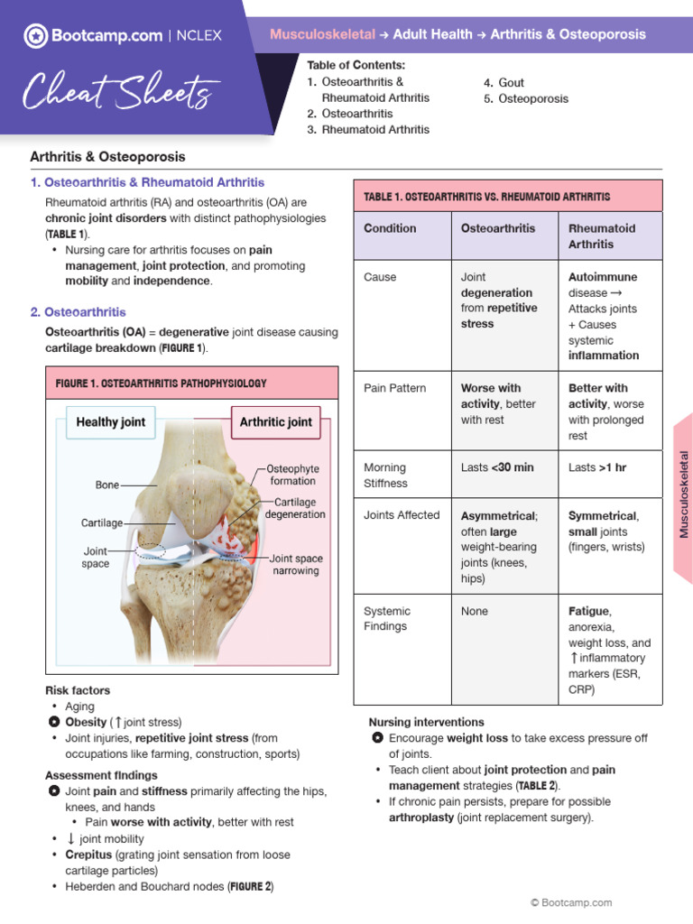 Arthritis and Osteoporosis Overview | PDF | Osteoarthritis | Arthritis