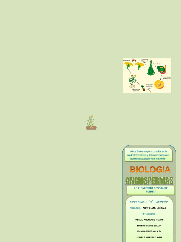 Características y funciones de las angiospermas | PDF | Flores | Plantas