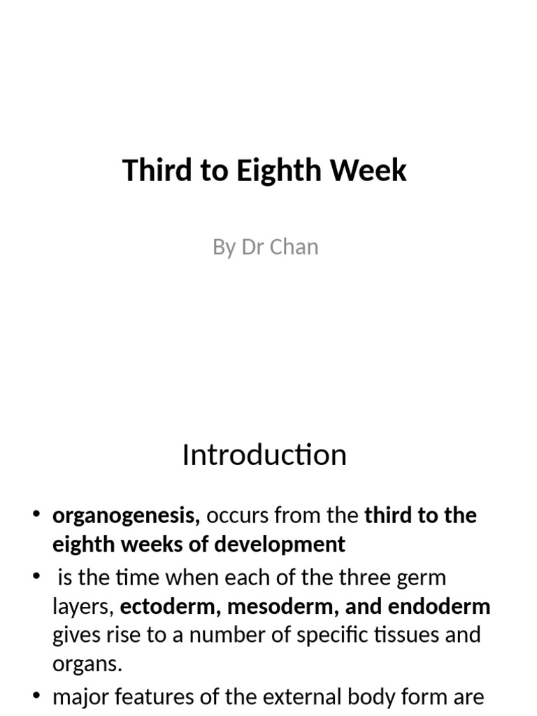 Third To Eighth Week of Development | PDF | Anatomy | Morphology (Biology)