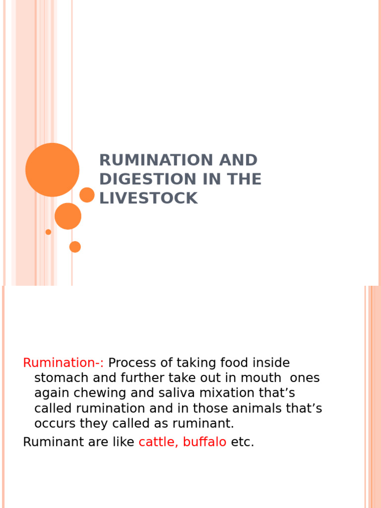 2003 Rumination and Digestion in The Livestock | PDF | Digestion | Ruminant