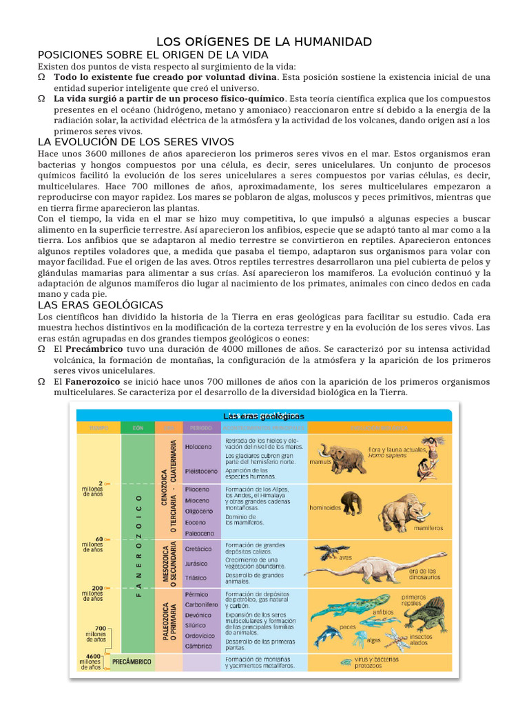Orígenes y evolución de la humanidad | PDF | Evolución | Evolución humana