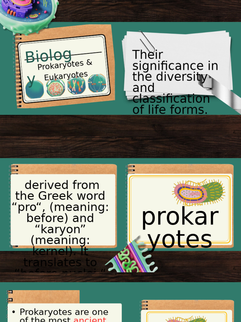 Prokaryotes vs Eukaryotes Explained | PDF | Cell (Biology) | Prokaryote